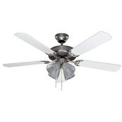 Ceiling Fan - 