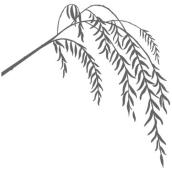 Stickers - 