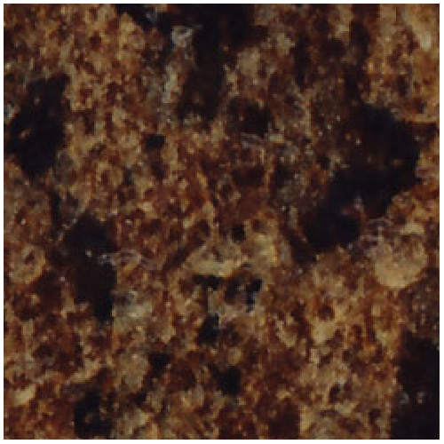 Moulded Counter