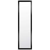 Door Mirror       