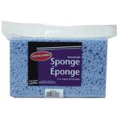 Seafoam Sponge