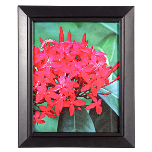 Set of 2 Frames