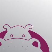 Hippopotamus mirror