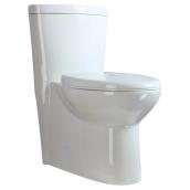 One-Piece Toilet