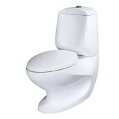 Dual Flush Toilet