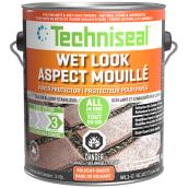 Paver Protector - Paver Protective Sealant 