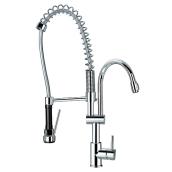 Kitchen Faucet with Spray