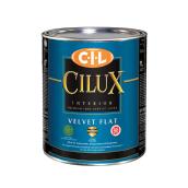 Paint - 