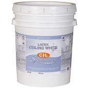 Paint - Interior Ceiling Latex