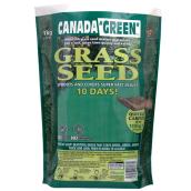 Grass seed