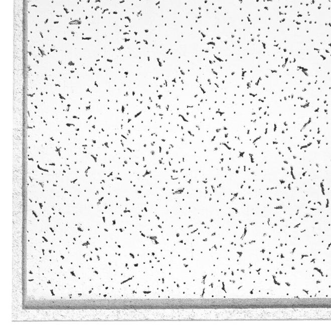 Ceilings Ceiling Tiles And Panels Rona Induced Info