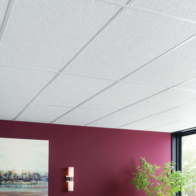Ceilings Ceiling Tiles And Panels Rona Induced Info