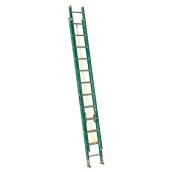 Ladder - Extension Ladder  