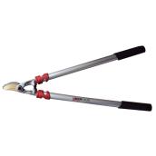 Pruner
