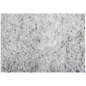 Shag Area Rug - 4' x 6' - Polyester - White