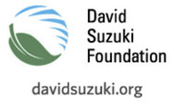 david-suzuki-foundation-logo