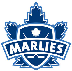 RONA is a proud sponsor of the Toronto Marlies of the AHL