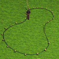 Mark the outline of the water garden