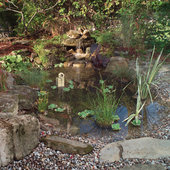Water gardens support a diverse range of aquatic plants