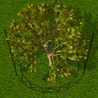 To fertilize a tree: make holes in the ground around the tree 10 to 15 cm deep.
