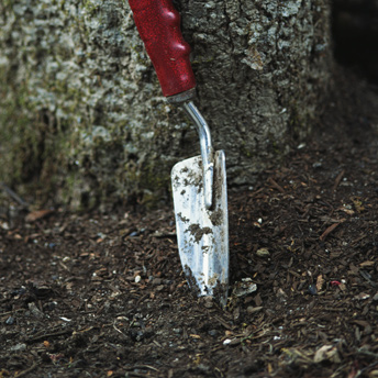 Take a soil sample with a garden trowel