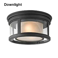 Downlight