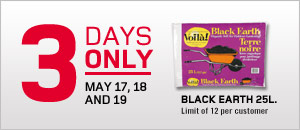 3 days only - Black earth