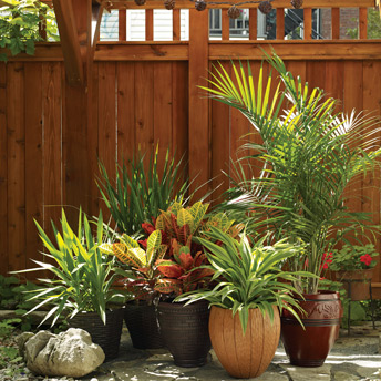 Cedar fence panels
