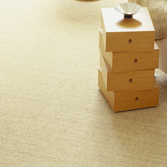 Moquette ou tapis qui couvre toute la surface du salon