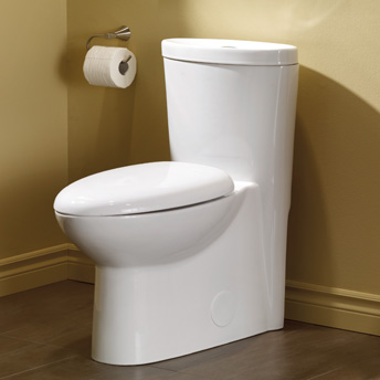 Dual flush toilet in a bathroom