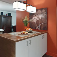 Kitchen with an orange accent wall