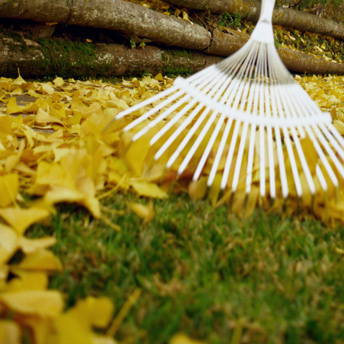 Exterior Fall Maintenance Schedule