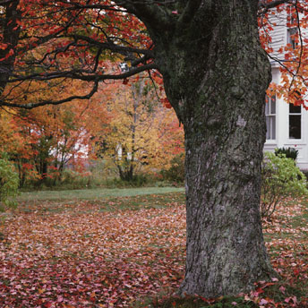 Exterior Fall Maintenance Schedule