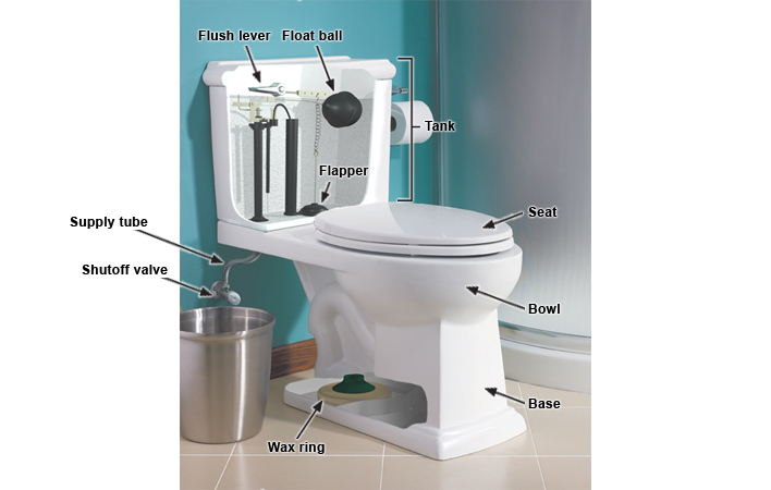 Toilets Buyer S Guides Rona Rona