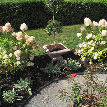 Annuals look fabulous among perennials and shrubs.