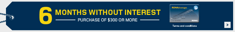 RONAdvantages - 6 months without interest