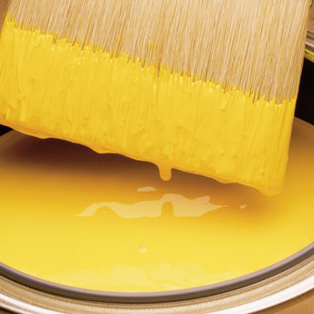 Purchase high quality paint and brushes for the best results.