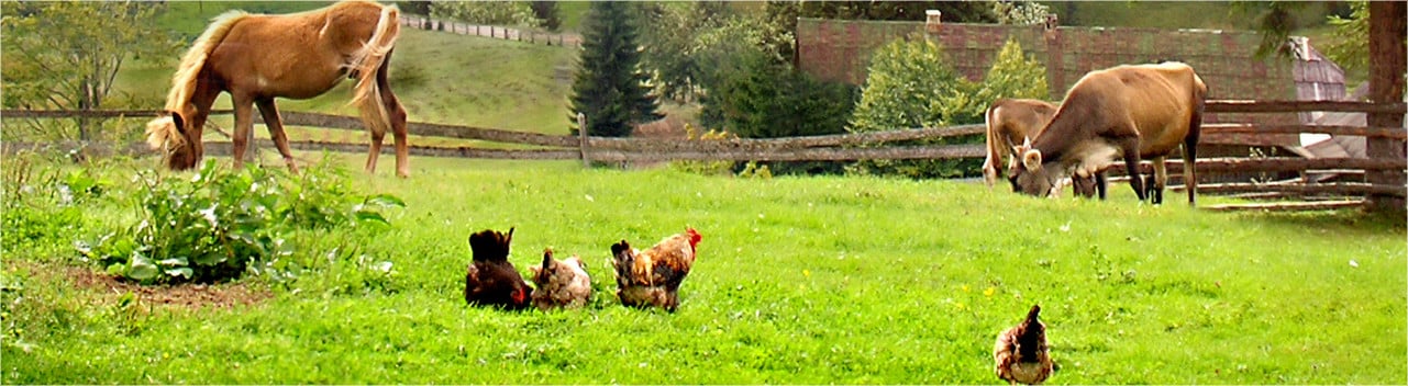 farm