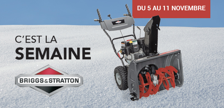 Souffleuse à neige Briggs & Stratton Souffleuse à neige Briggs & Stratton