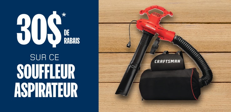 rabais souffleur a feuille