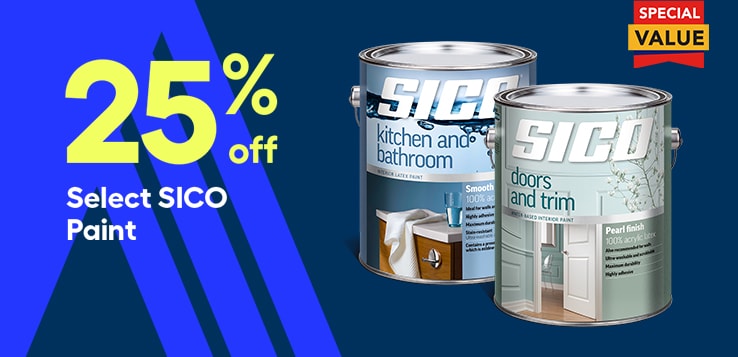 Paint promo