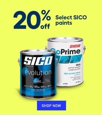 SICO paint promo