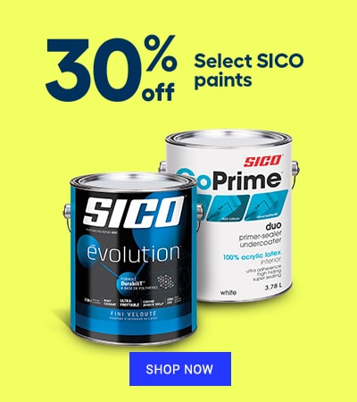 SICO paint promo