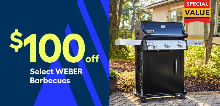 Weber BBQ promo