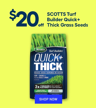 Scotts Turf Builder Quick + Thick Grass Seeds