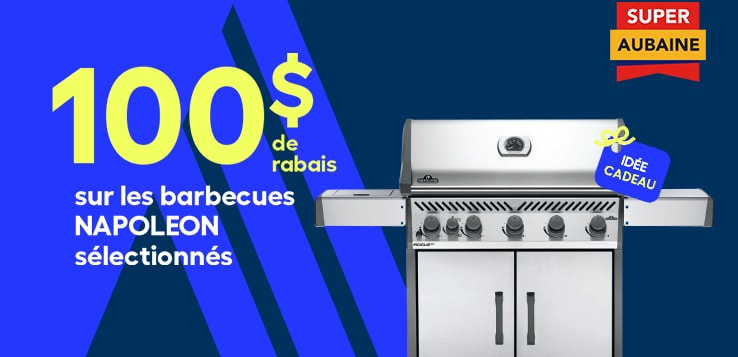 Barbecues Napoleon