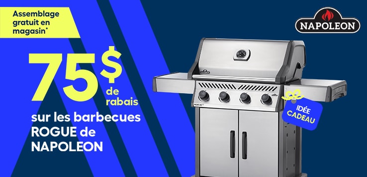 Barbecues Napoleon
