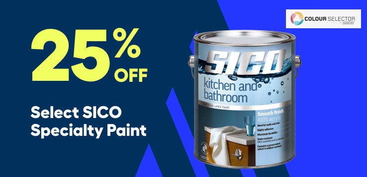 Paint promo