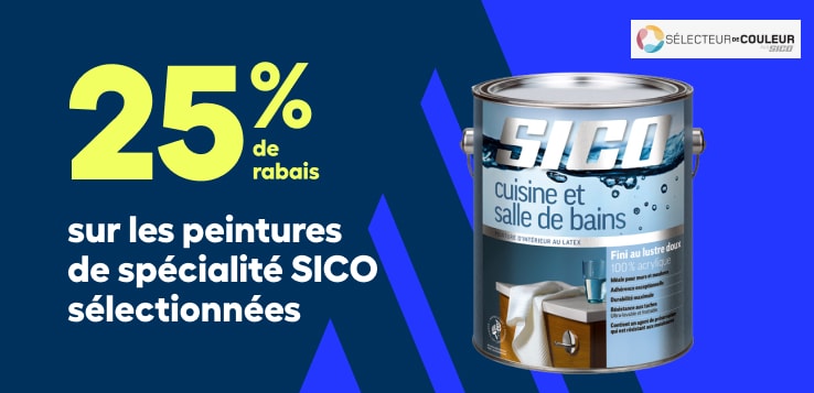 Promo peinture