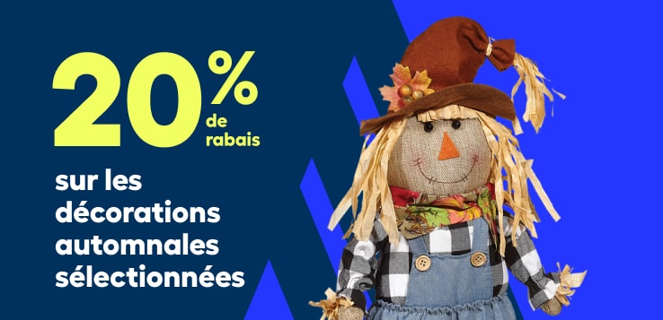 Promo décor d'automne